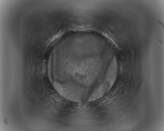 X0000097861350200804041519