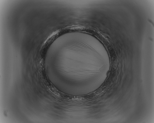 X0000097861351200804041519