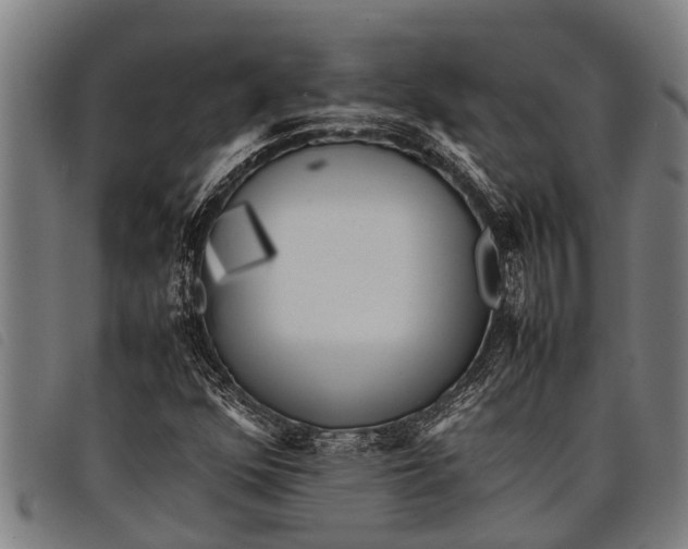 X0000097861352200804041519