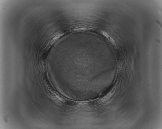 X0000097861353200804041519