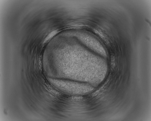 X0000097861354200804041519