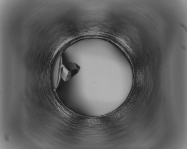 X0000097861356200804041519