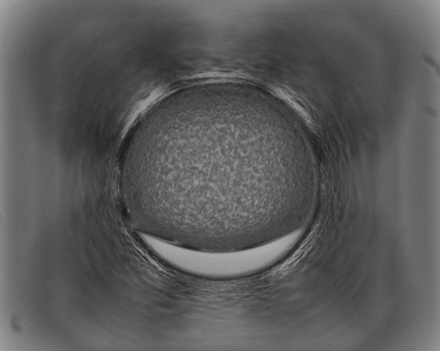 X0000097861357200804041519