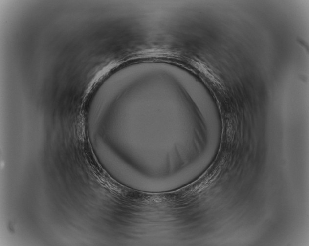 X0000097861358200804041519