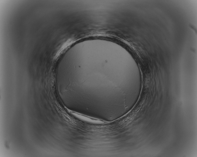 X0000097861359200804041519