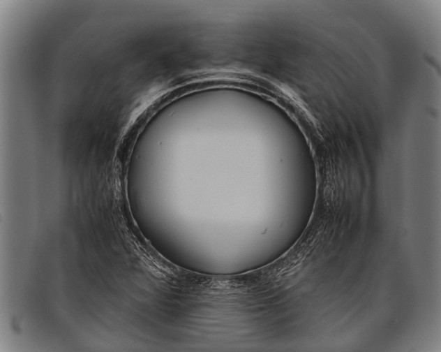 X0000097861360200804041519