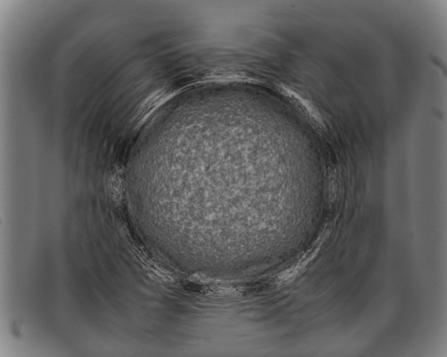 X0000097861361200804041519