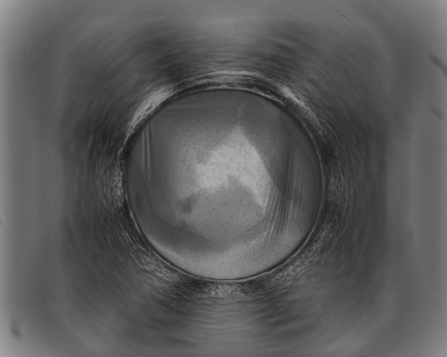 X0000097861362200804041519