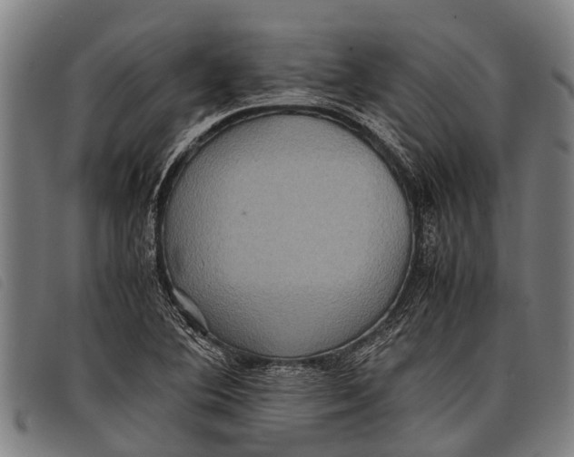 X0000097861364200804041519