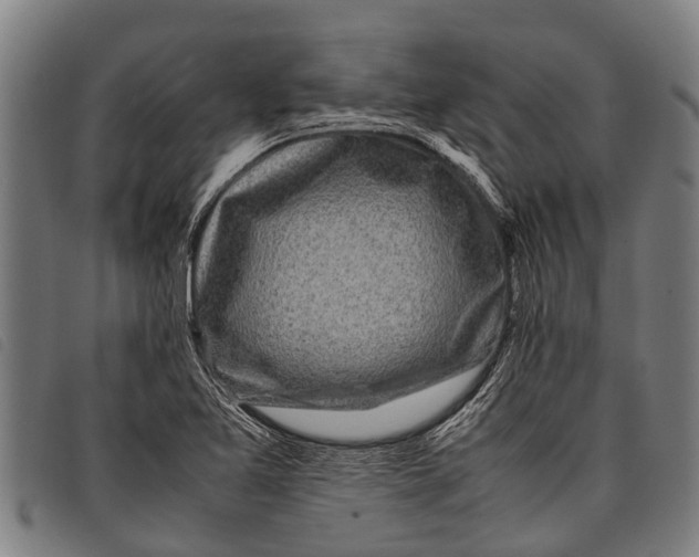 X0000097861365200804041519