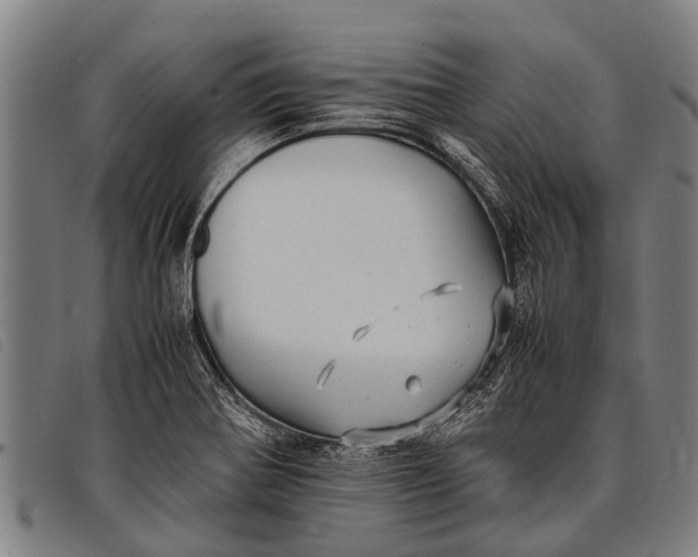 X0000097861370200804041519