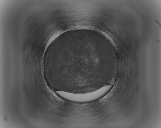 X0000097861373200804041519