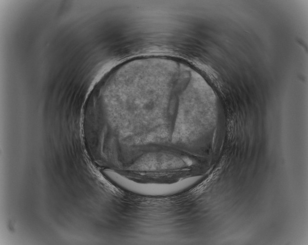 X0000097861374200804041519