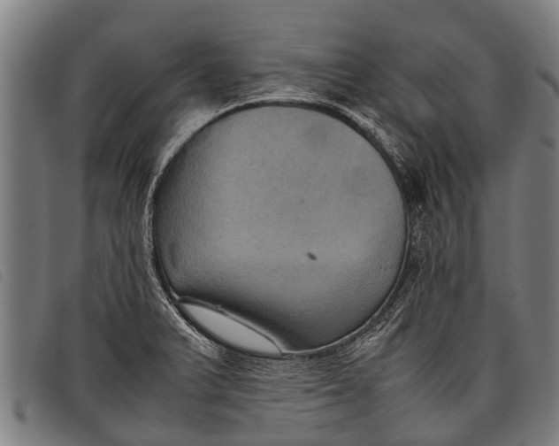 X0000097861375200804041519