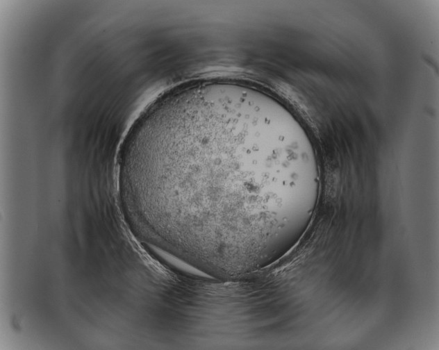 X0000097861376200804041519