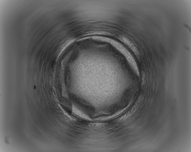 X0000097861377200804041519