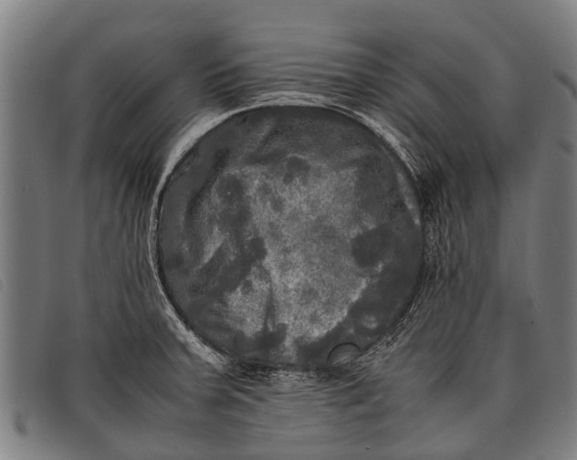 X0000097861379200804041519