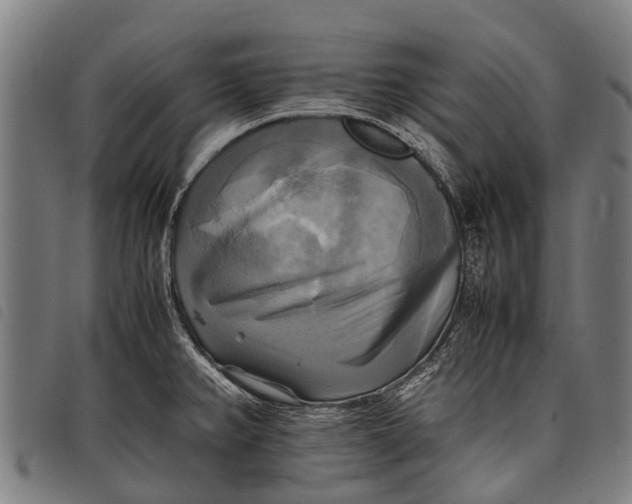 X0000097861382200804041519