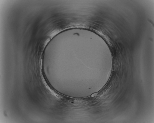 X0000097861383200804041519