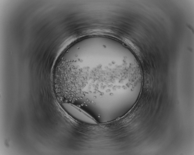 X0000097861384200804041519