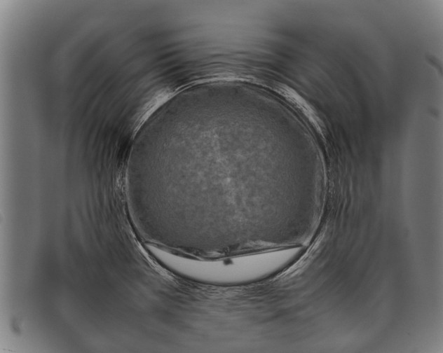 X0000097861385200804041519