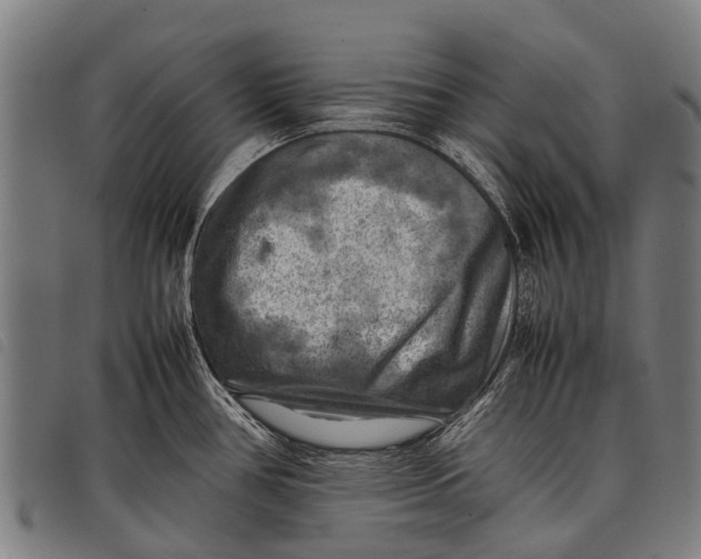 X0000097861386200804041519