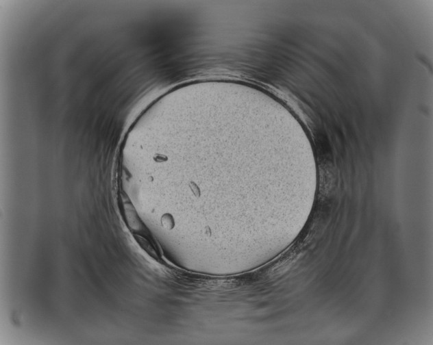 X0000097861387200804041519