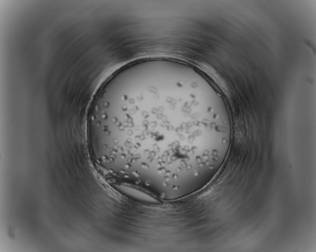 X0000097861388200804041519