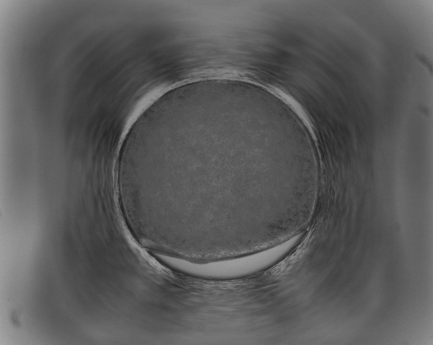 X0000097861389200804041519