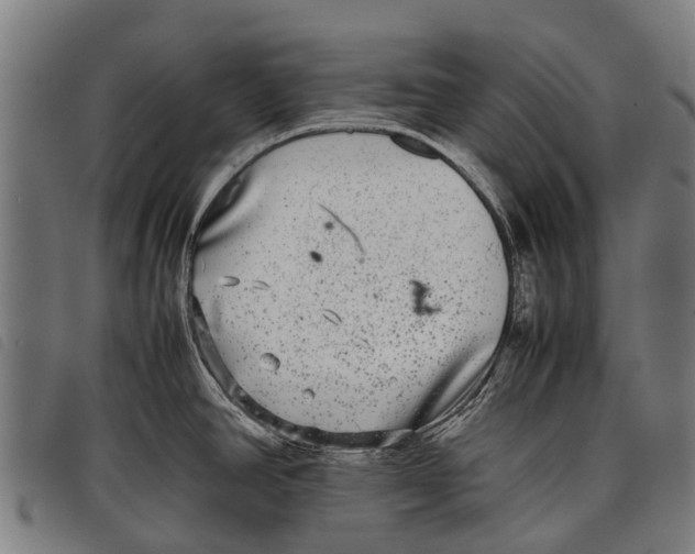 X0000097861390200804041519