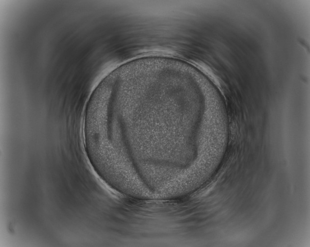 X0000097861391200804041519