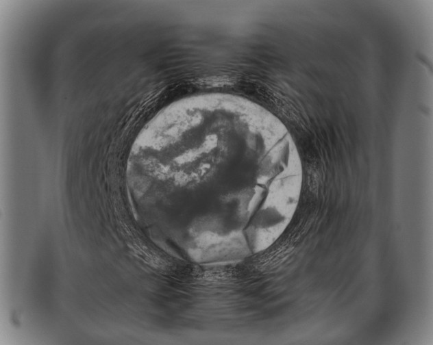 X0000097861393200804041518