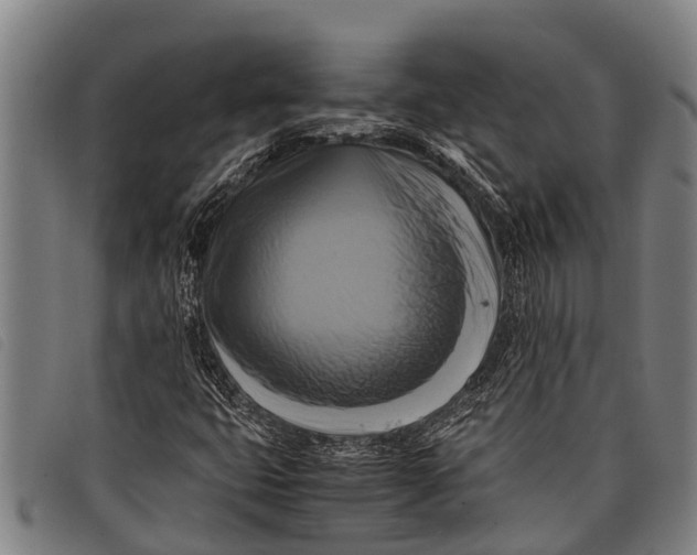 X0000097861399200804041518