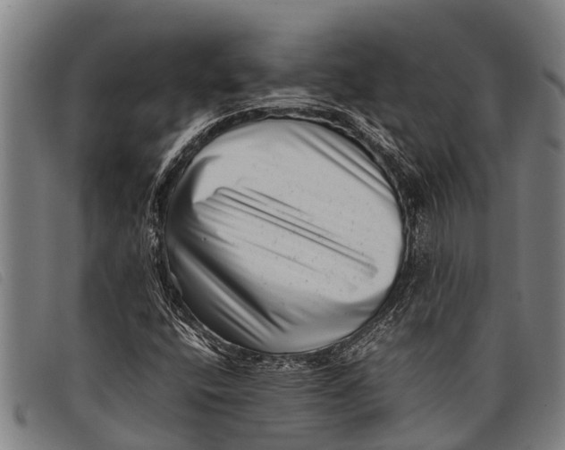 X0000097861400200804041518