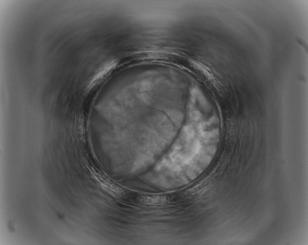 X0000097861403200804041518