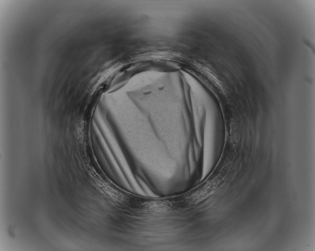 X0000097861404200804041518