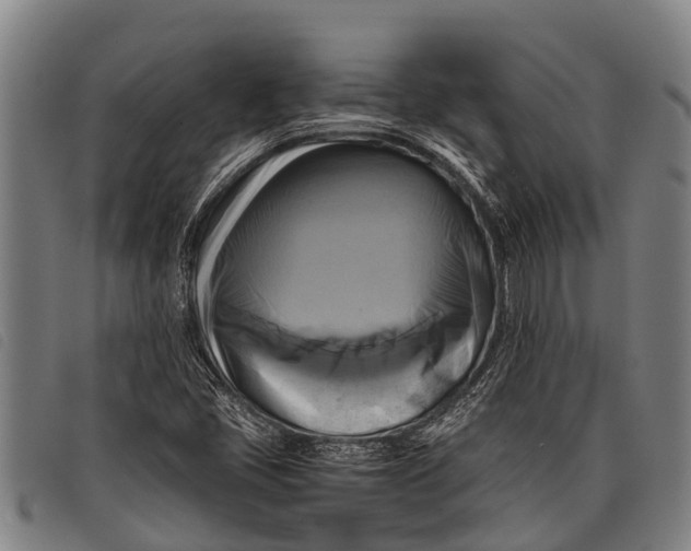 X0000097861405200804041518