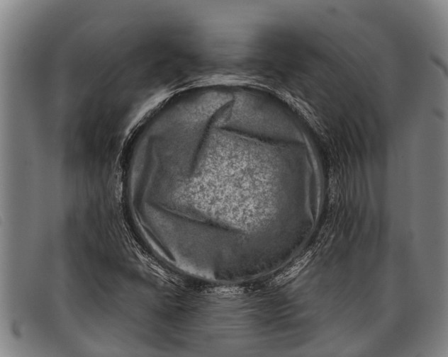 X0000097861406200804041518