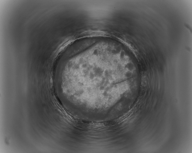 X0000097861407200804041518