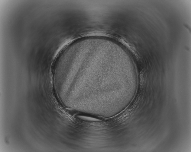 X0000097861408200804041518