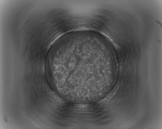 X0000097861409200804041518