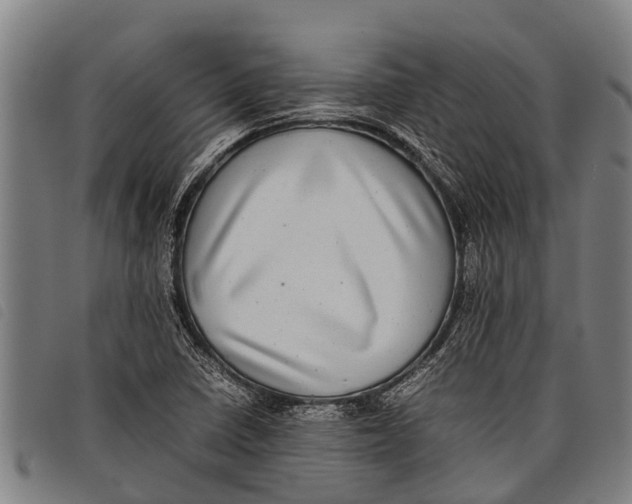 X0000097861410200804041518