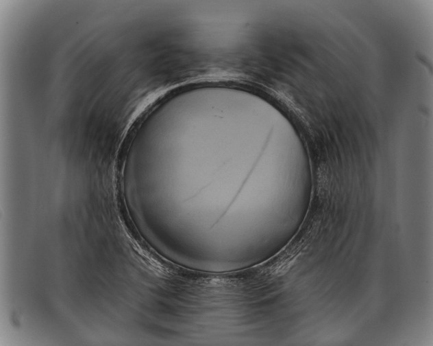 X0000097861412200804041518