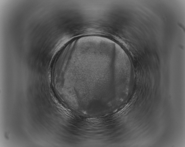 X0000097861415200804041519