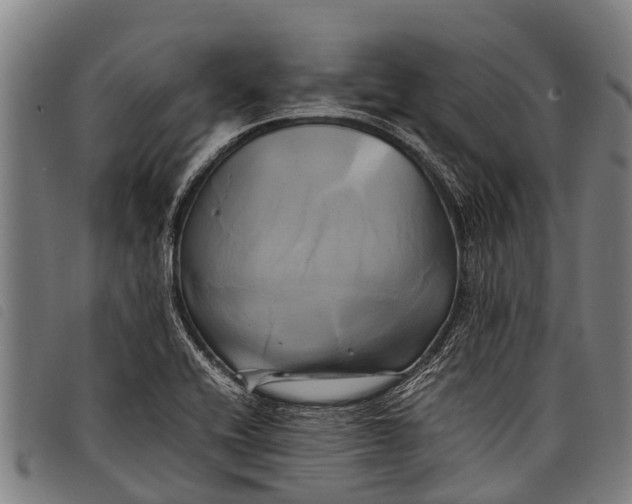 X0000097861416200804041519