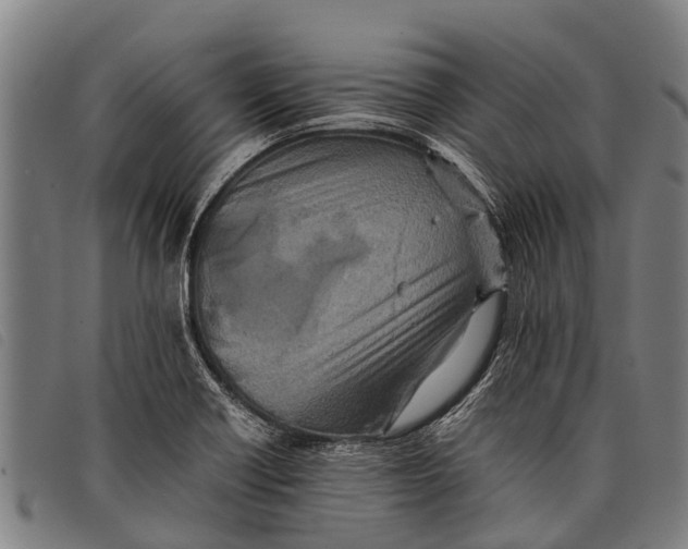 X0000097861418200804041519