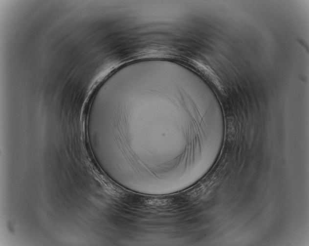 X0000097861419200804041519