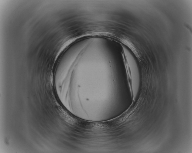 X0000097861420200804041519