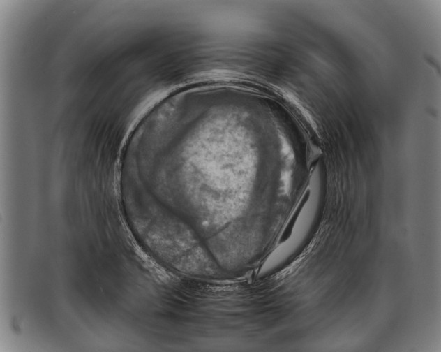 X0000097861421200804041519