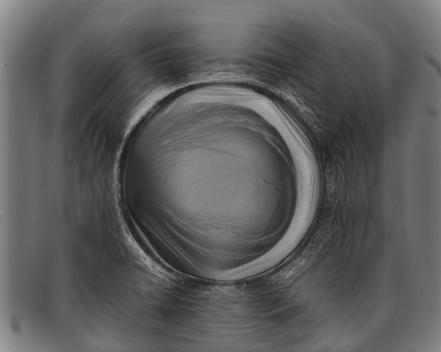 X0000097861422200804041519